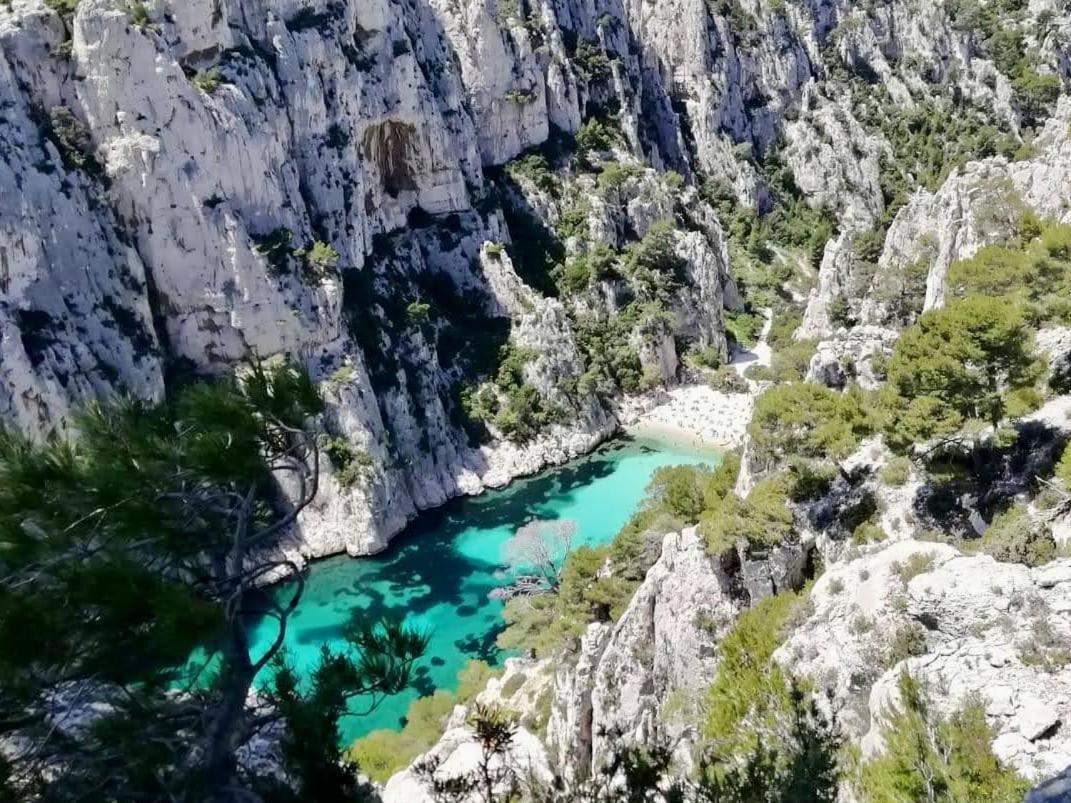 Vue Mer Le Panoramique Vieux-Port De مارسيليا المظهر الخارجي الصورة